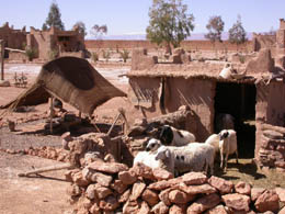 Lalla Mimouna springs.