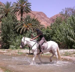 Horseback riding in the Todra Valley