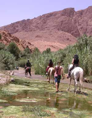 Horseback riding in the Todra Valley