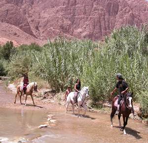 Horseback riding in the Todra Valley