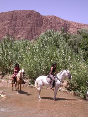 Horseback riding in the Todra Valley