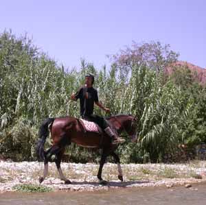 Horseback riding in the Todra Valley
