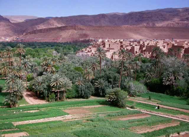Todra palm grove and Ksar Ait Boujane