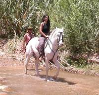 Horseback riding in the Todra Valley