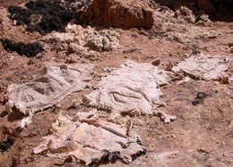 Ledergerberei in Tinerhir.