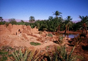 Alc&agrave;sser Achtad a la vall del Todra, Marroc.