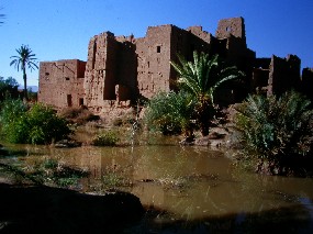 Alc&agrave;sser Ait Mohamed a la vall del Todra, Marroc.
