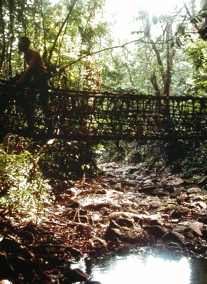 Pont penjat al Mont Tonkui, Costa d’Ivori.