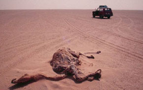 Desert del Tanezrouft.