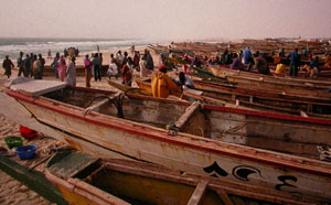 Barques de pesca a la platja de Nouadibou, Mauritania.