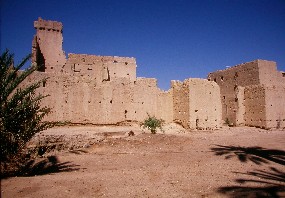 Alc&agrave;sser Tloult a la vall del Todra, Marroc.