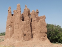 Tighremt n’Tamjeyert