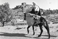 La kasbah du Glaoui &agrave; Tifoultout