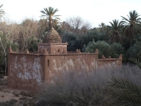 Sidi Abdelkrim, Tikoutar