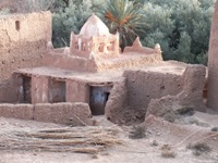 Sidi El Haj Amar, Tikoutar