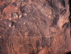 Gravats rupestres de Taouz, sud del Marroc.