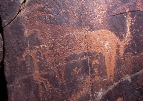 Gravat rupestre a la vall de Tamanart, Anti-Atlas, Marroc.